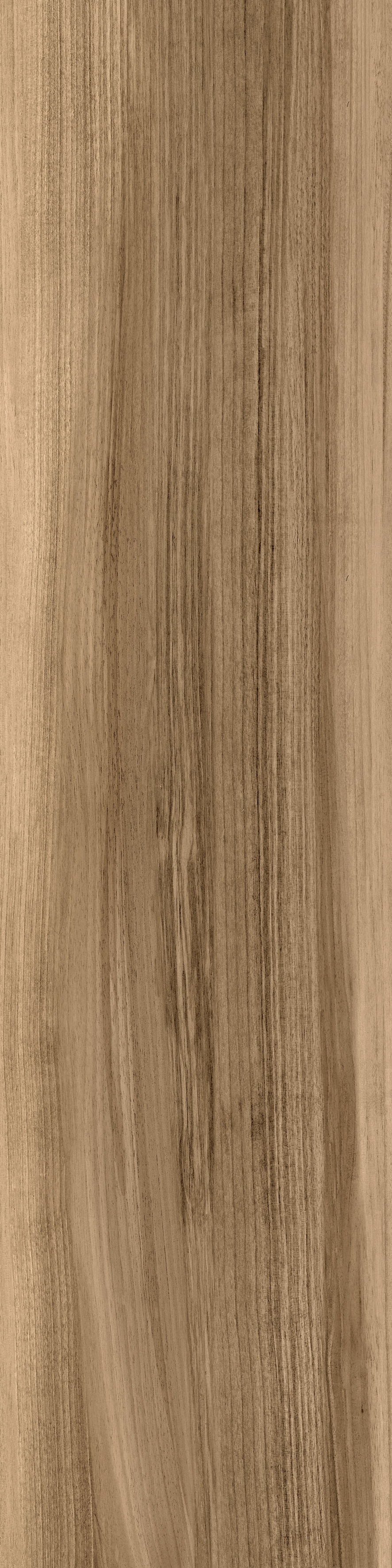 KD Walnut