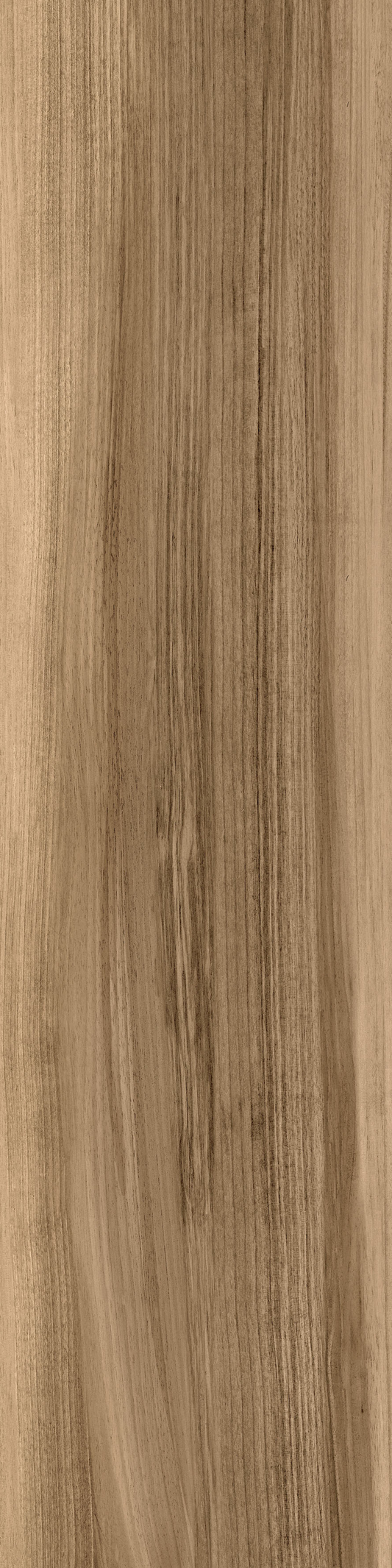 KD Walnut