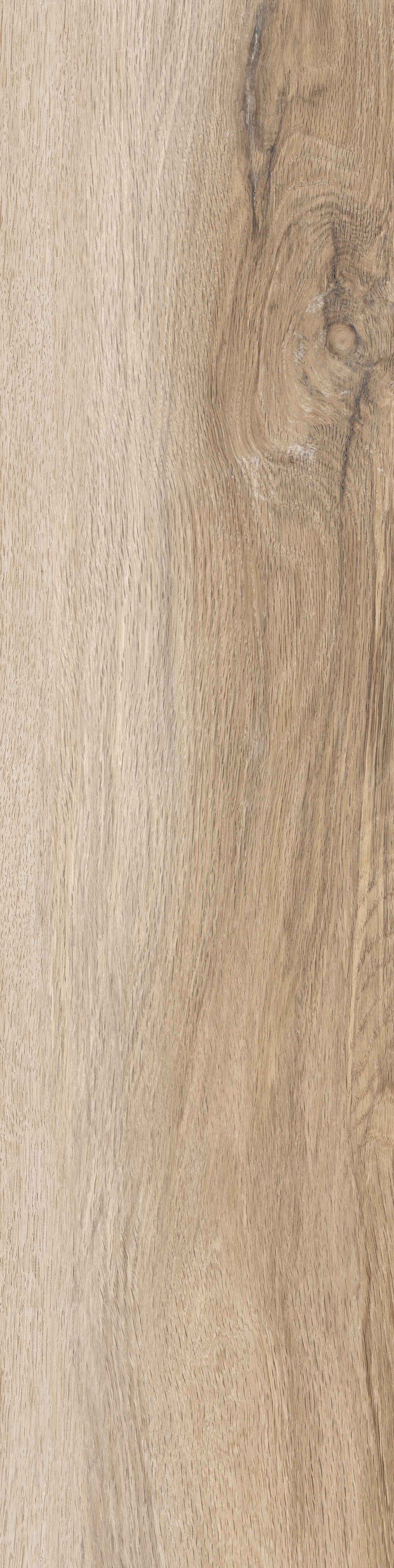 Birch plank