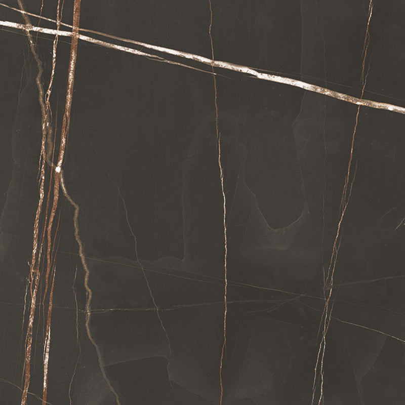 MP Sahara Noir