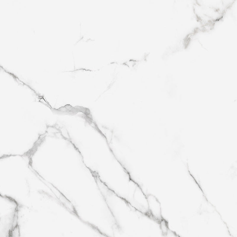 Silk Calacatta Grey
