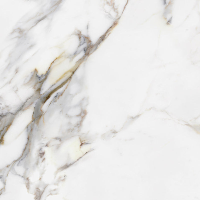 Silk Calacatta Gold