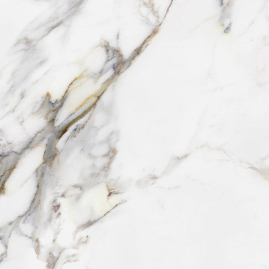 Silk Calacatta Gold